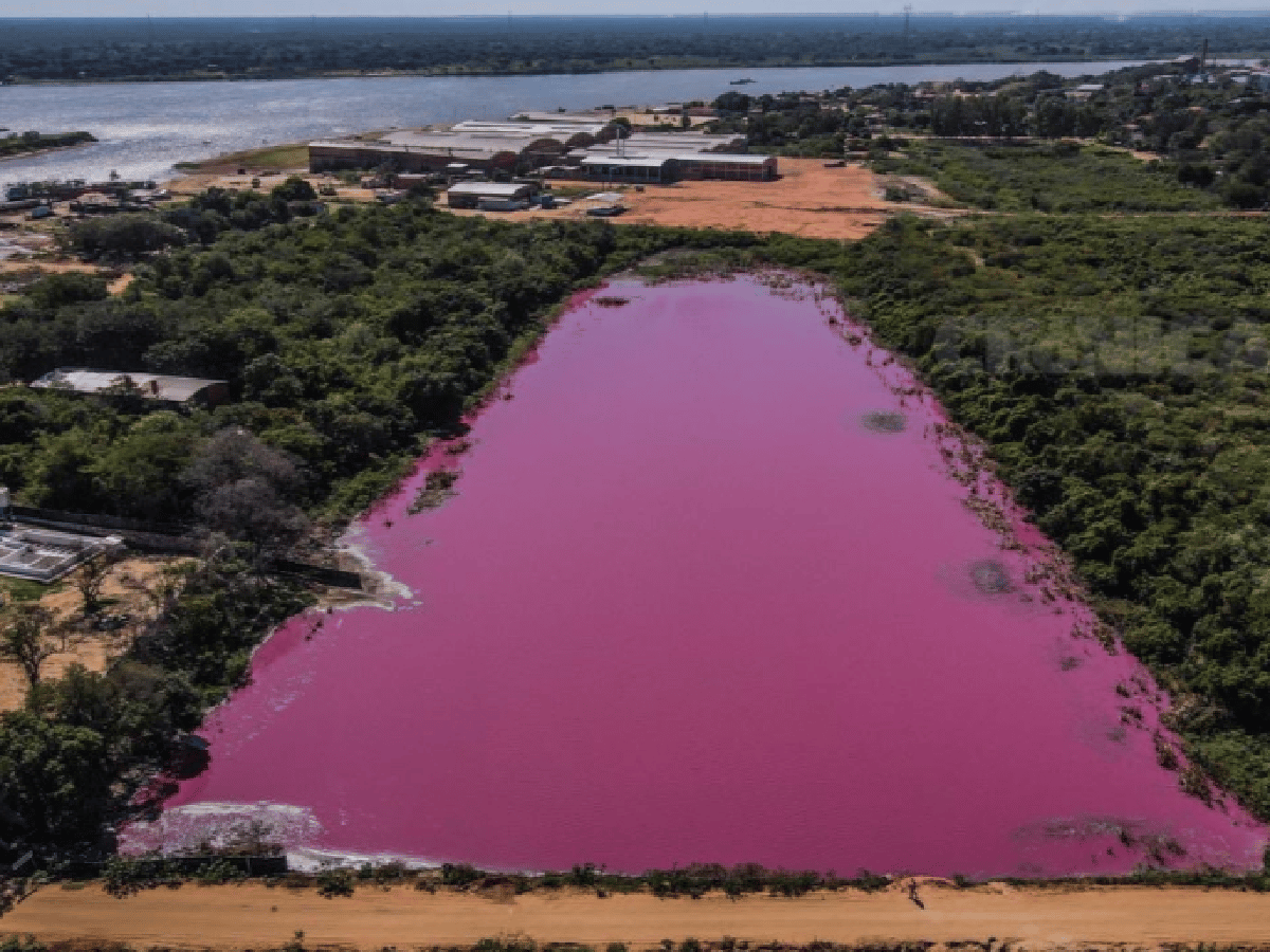 Una laguna se tiñó de rosa por los desechos industriales