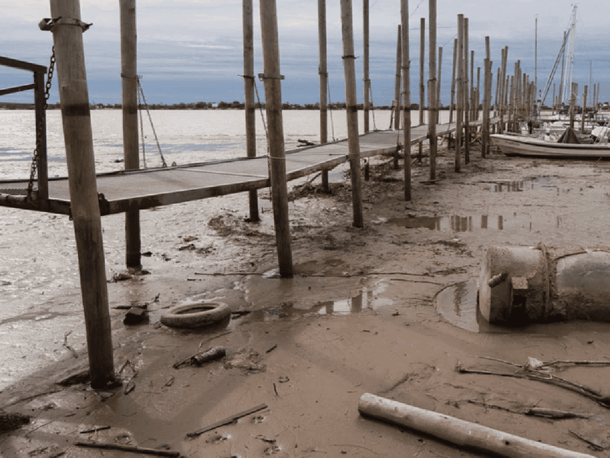 Federovisky: "La bajante del río Paraná es técnicamente un desastre"
