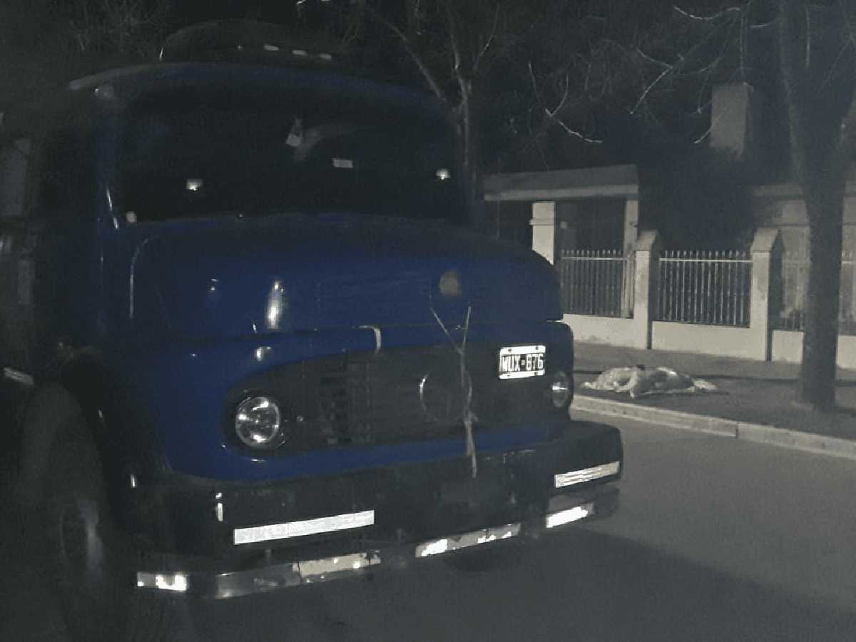 Detuvieron a un camionero que intentó sobornar a policías en Josefina