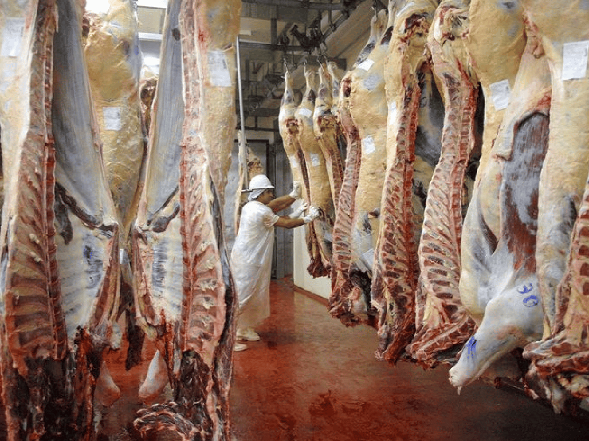 El Gobierno extendió el cepo a la exportación de carne