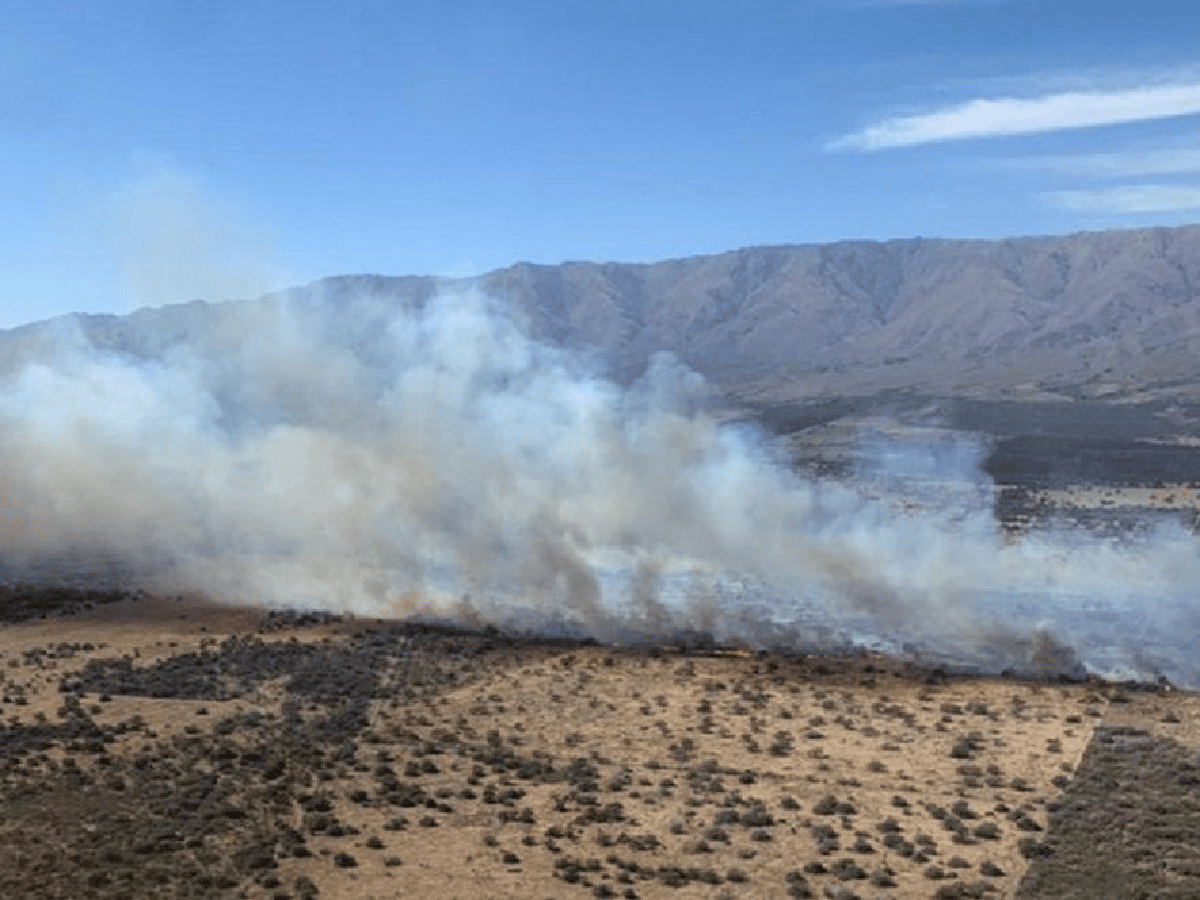 Hasta el lunes es "extremo" el riesgo de incendio forestal en la provincia