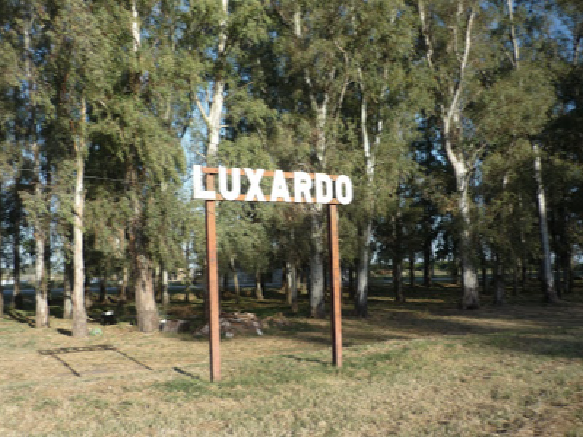  Luxardo: la policía rescató a tres caballos en mal estado