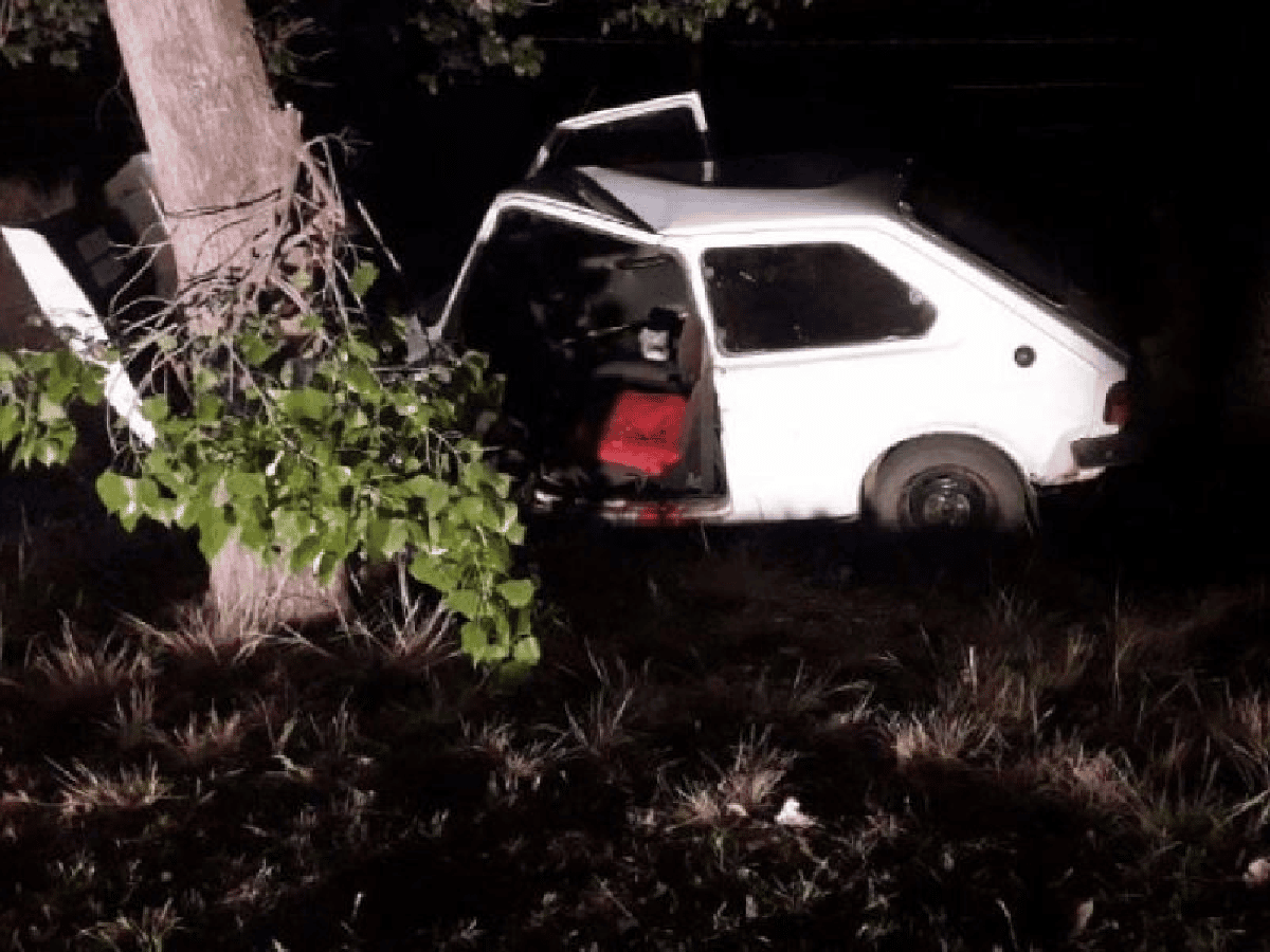Automovilista grave tras chocar contra un árbol en Porteña