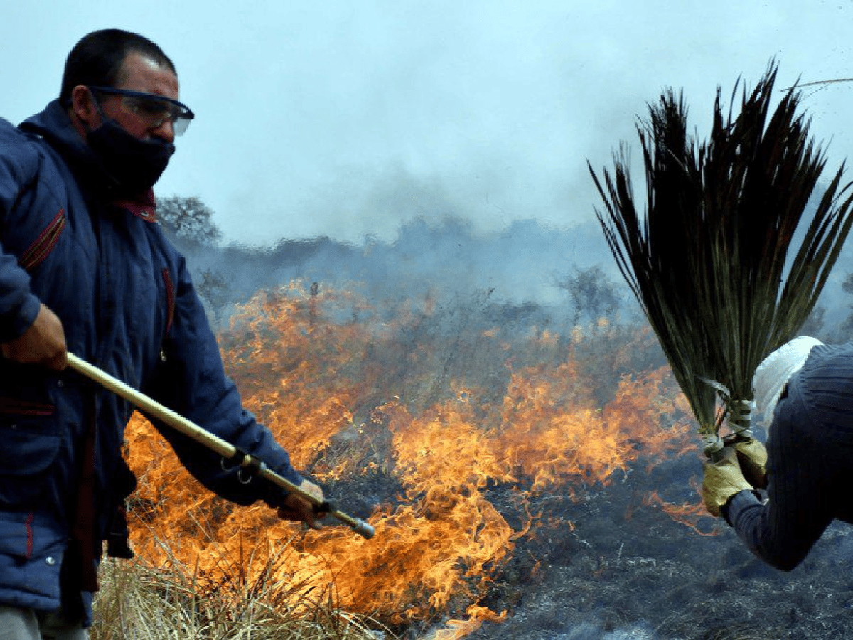 Aunque el clima ayuda, ya son 30.600 las hectáreas arrasadas por el fuego