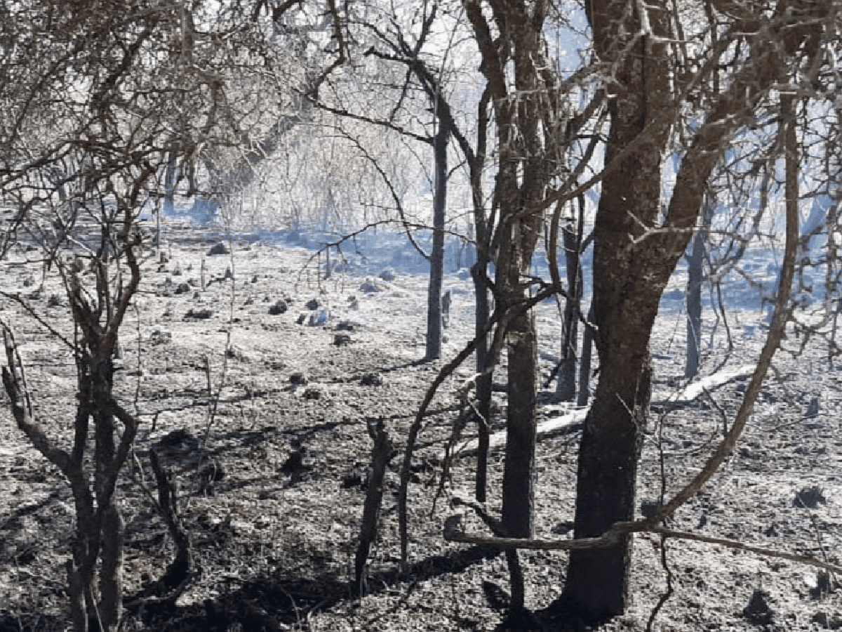 Controlaron el incendio forestal en cercanías de Villa Giardino