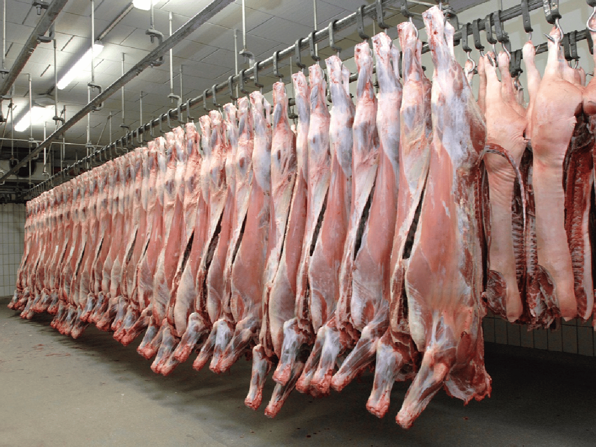 Las exportaciones de carne bovina registraron una fuerte caída en octubre