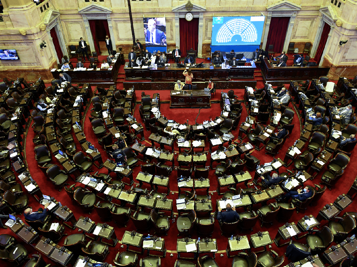 La nueva Cámara de Diputados: se multiplican los bloques en medio de una extrema polarización