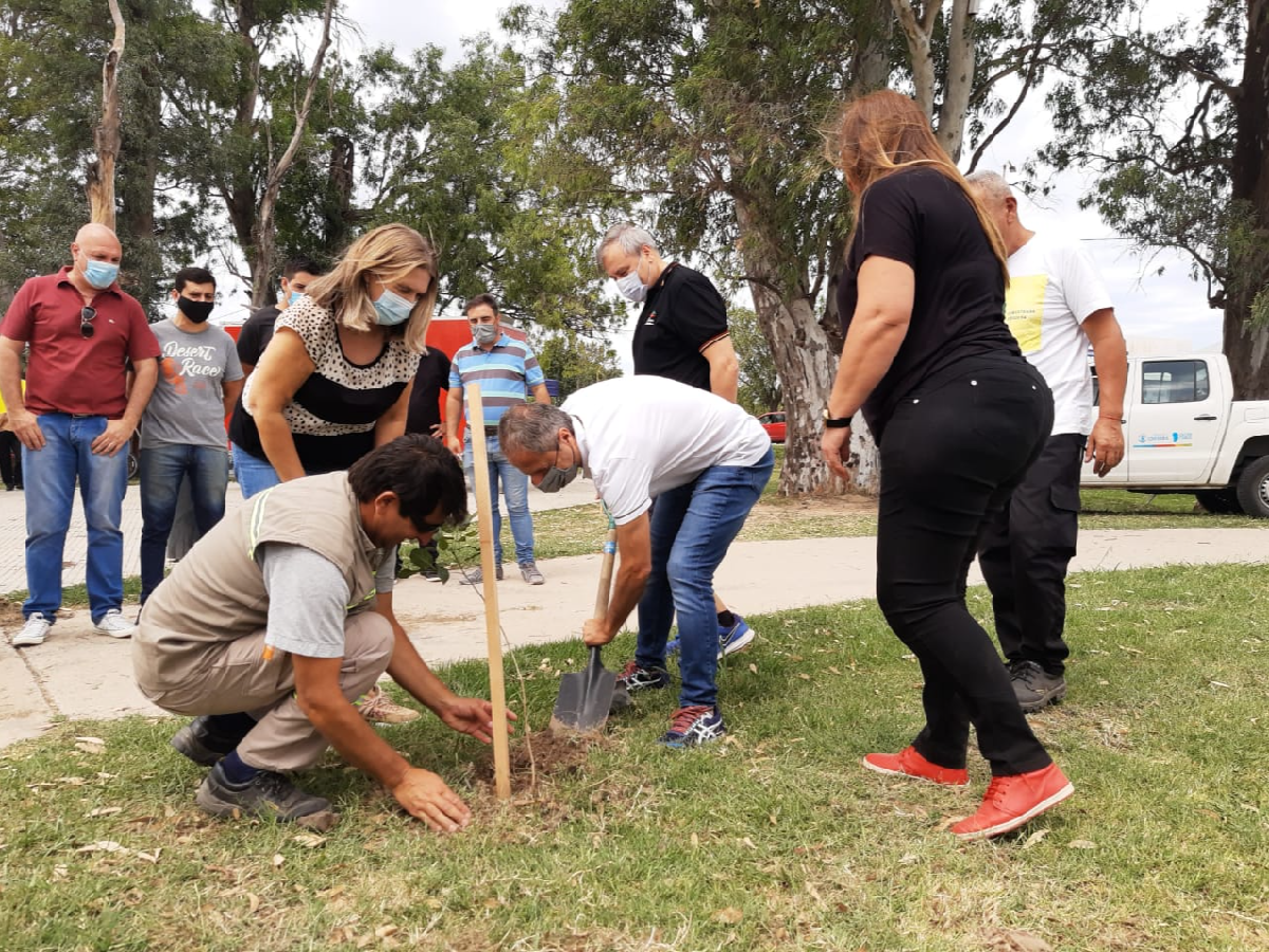  Forestando Córdoba”:  San Francisco suma  2000 nuevos árboles