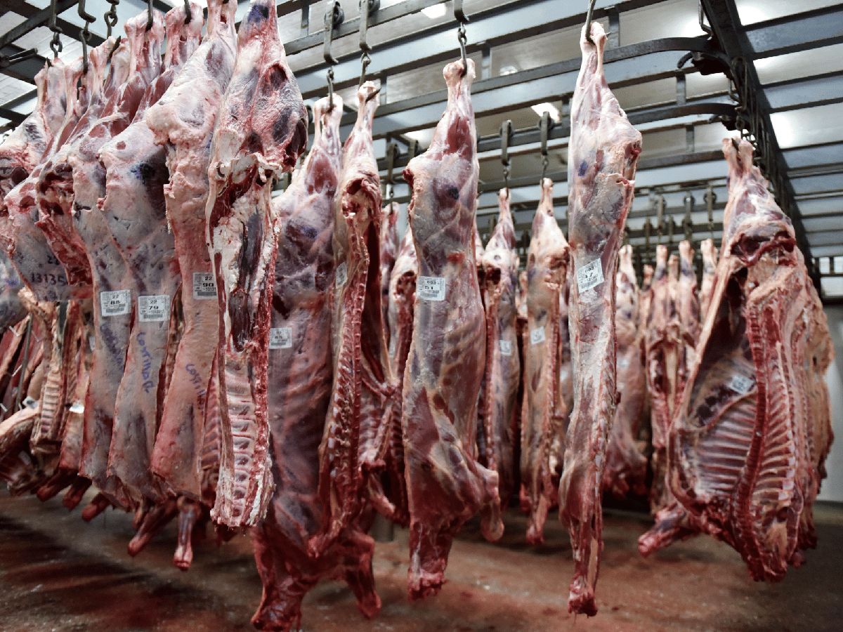  Exportaciones de carne: para Schiariti “Siguen atentando contra el aumento de la producción”               