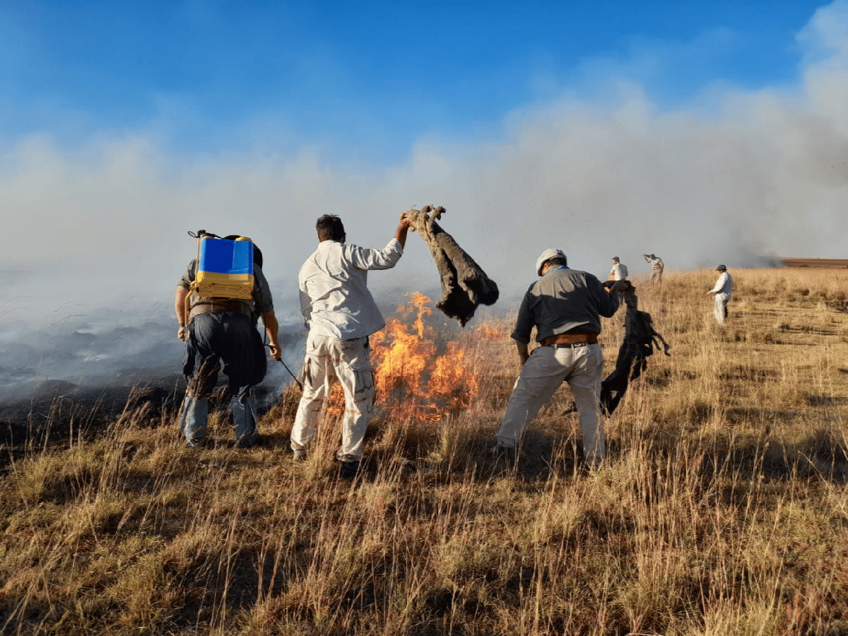 La Argentina en llamas: en lo que va del año ya duplicó la cantidad de hectáreas incendiadas registradas en 2021
