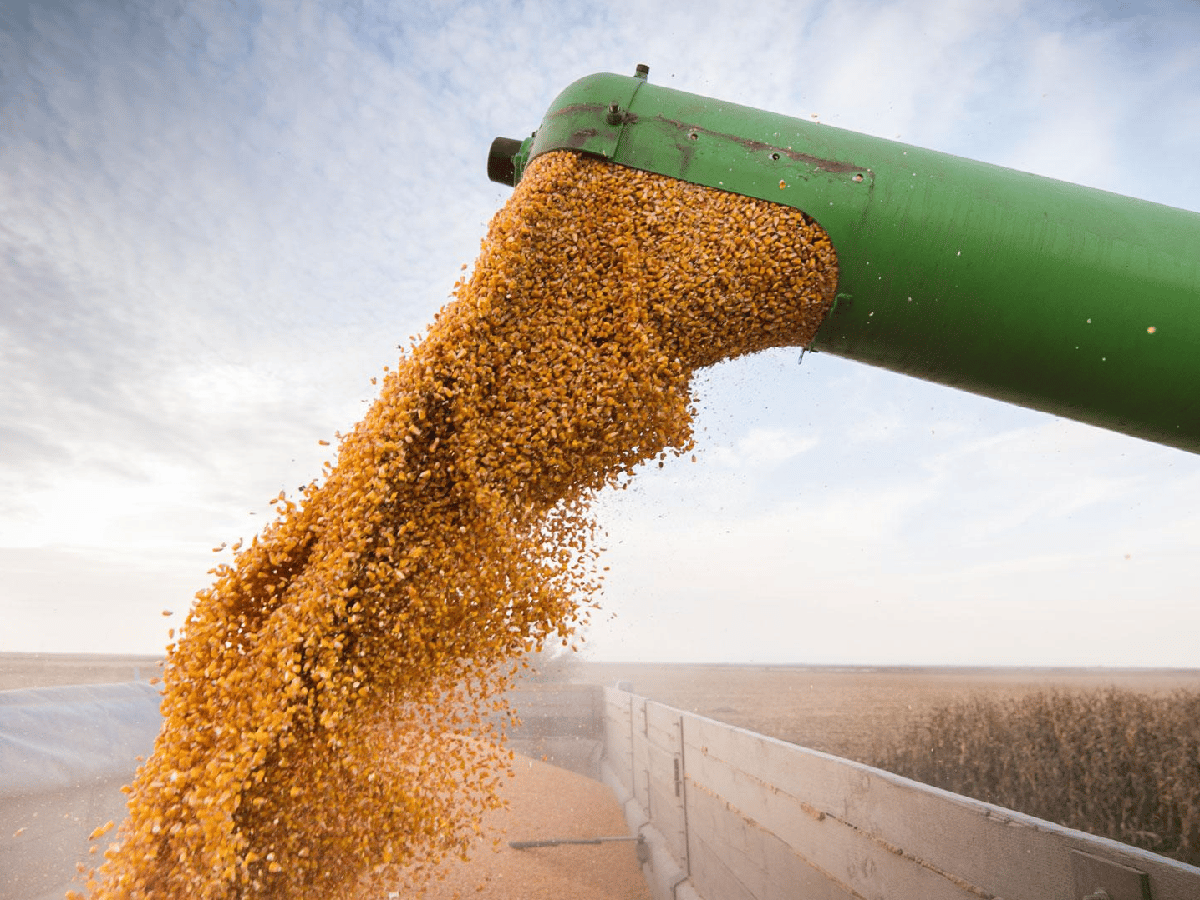 Reabren las exportaciones de harina y aceite de soja