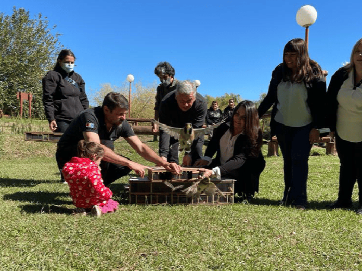  Policía Ambiental liberó  más de 50 aves en Arroyito    
