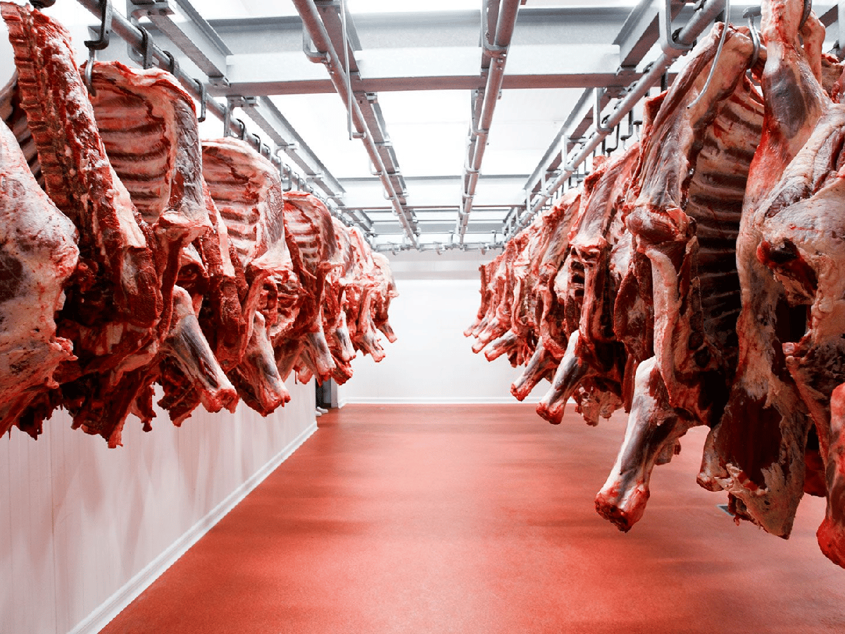 Argentina busca aumentar la producción de carne en 600.000 toneladas