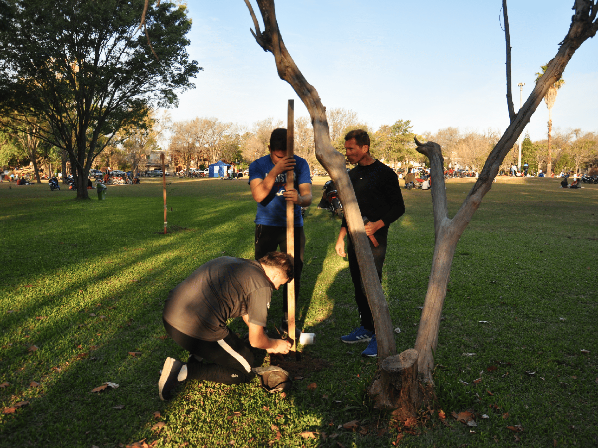 Colocaron árboles para celebrar el  Día Mundial del Medio Ambiente 