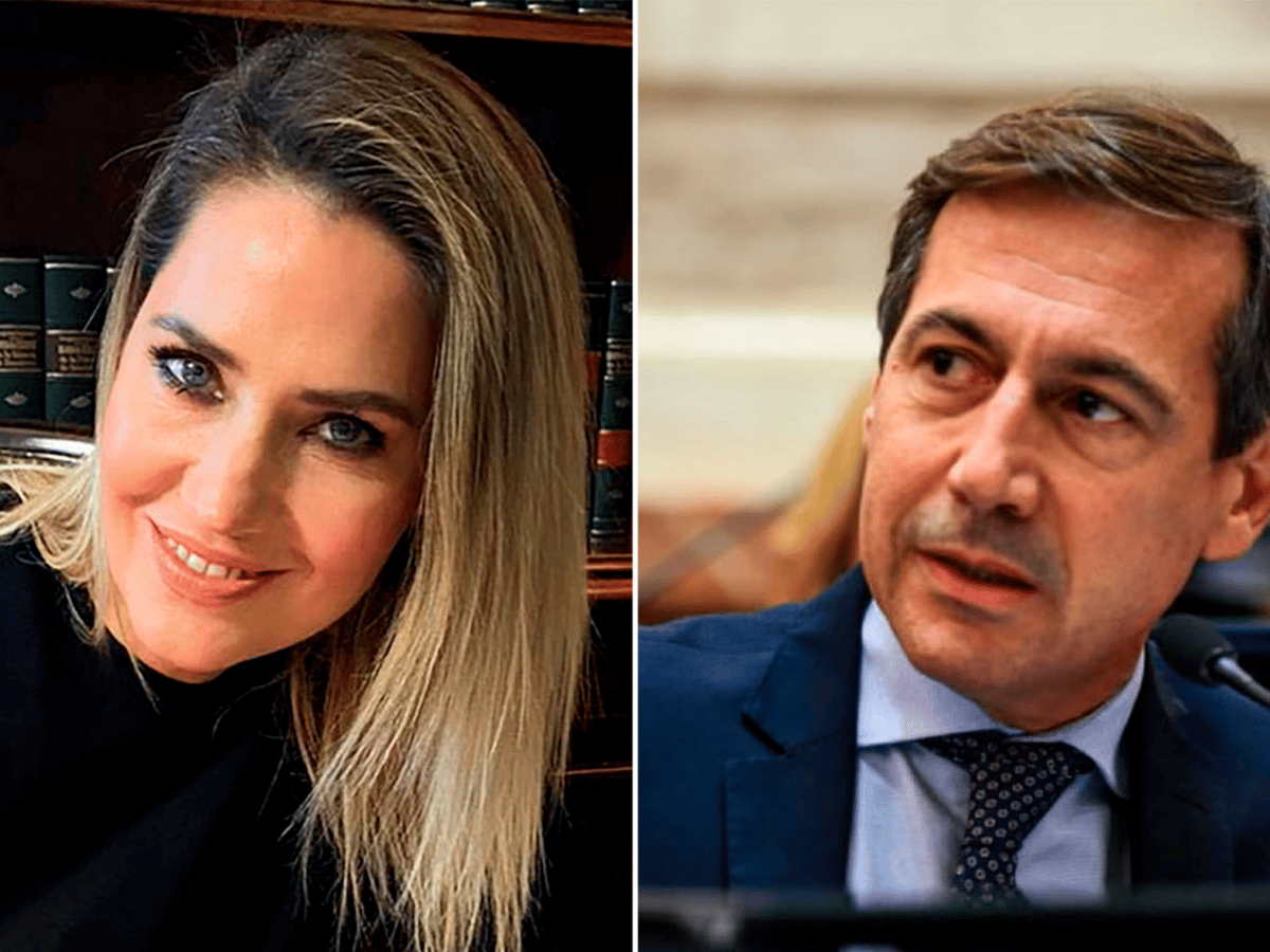 Carolina Losada y Luis Naidenoff están en pareja: cómo nació la relación en el Senado