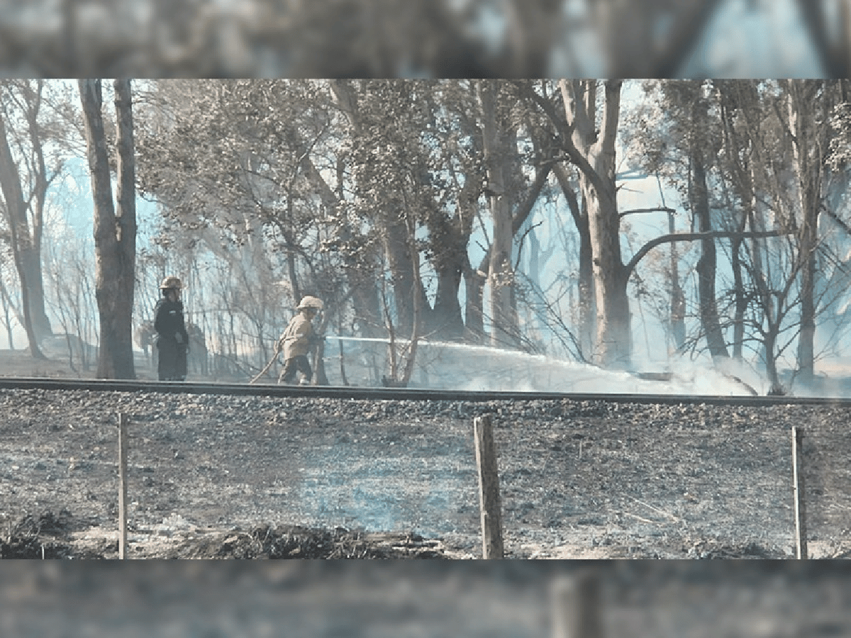  Siete dotaciones de bomberos combatieron incendio de campo a la vera de la ruta 19