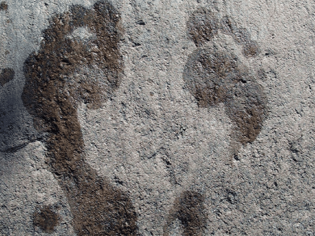 Huellas de pasos revelaron detalles de cómo vivían los habitantes en la Edad de Hielo