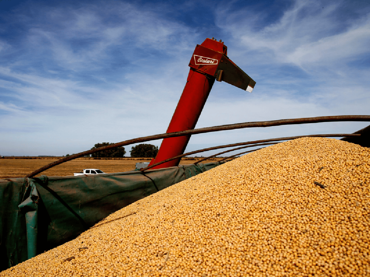 La producción de soja en  Córdoba superó los 11 millones  de toneladas en la campaña 2021/2022