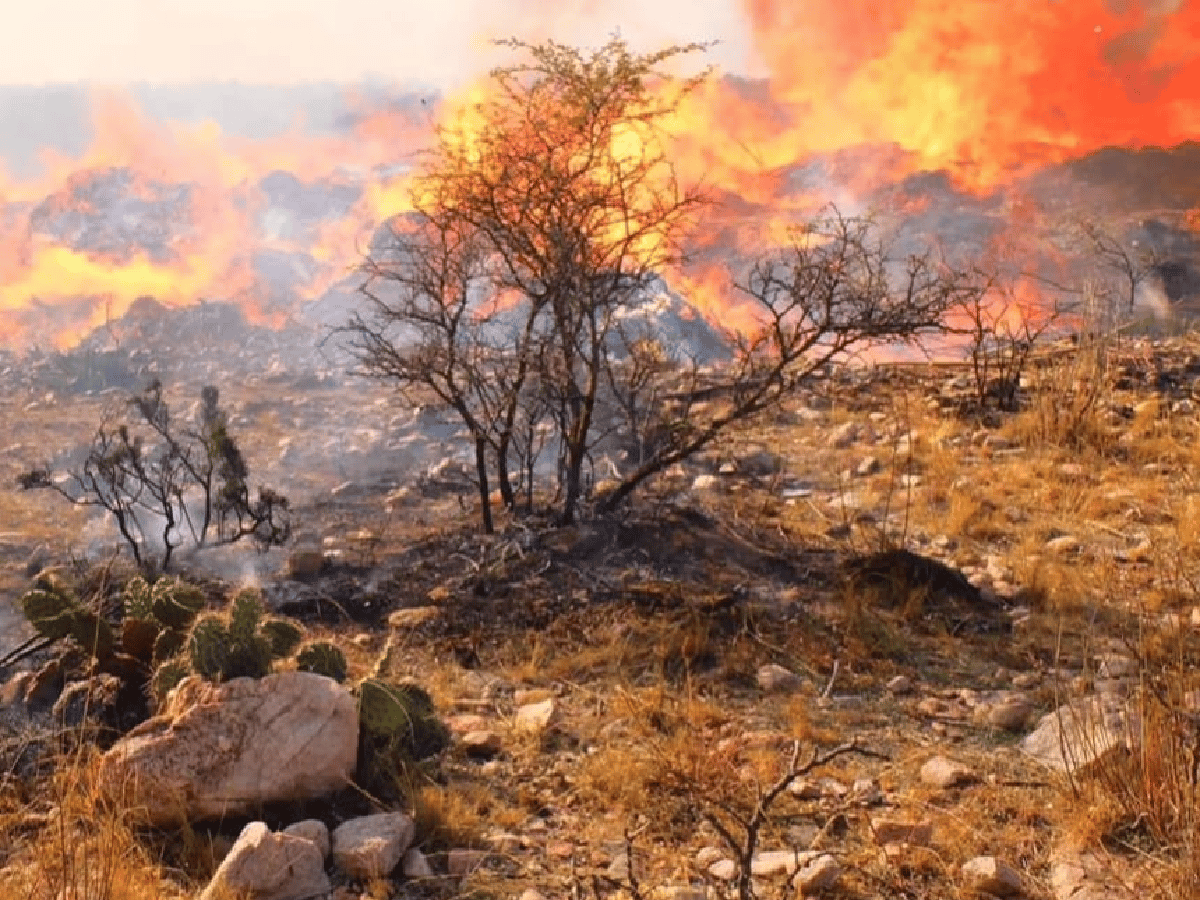 Combaten incendios forestales en Salsacate y en el norte del Valle de Punilla