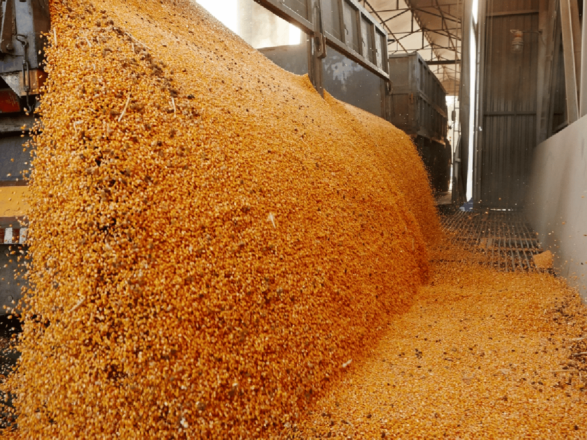 Agroexportadores liquidaron US$ 1.600 millones en las primeras semanas del nuevo dólar soja