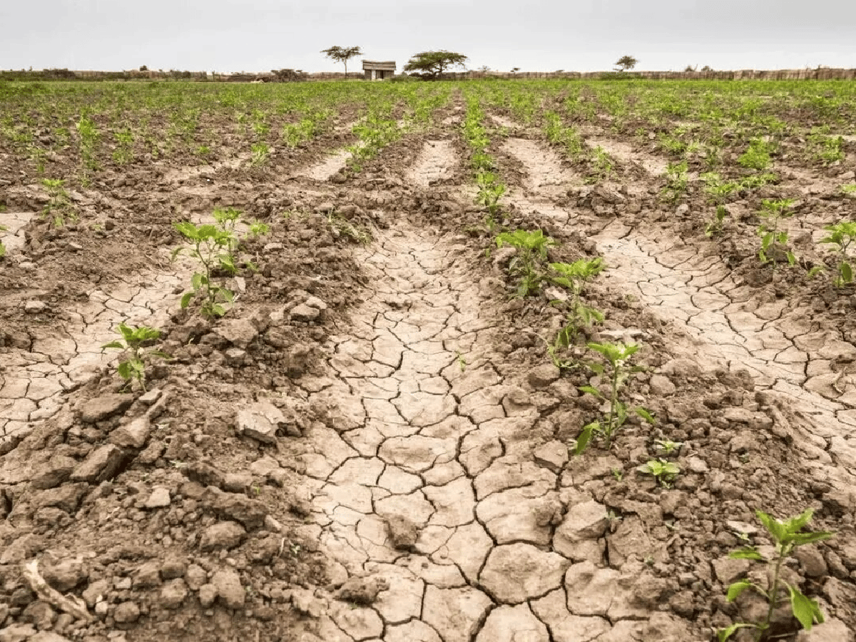 El campo aguarda por una “lluvia  esperanzadora” en San Justo