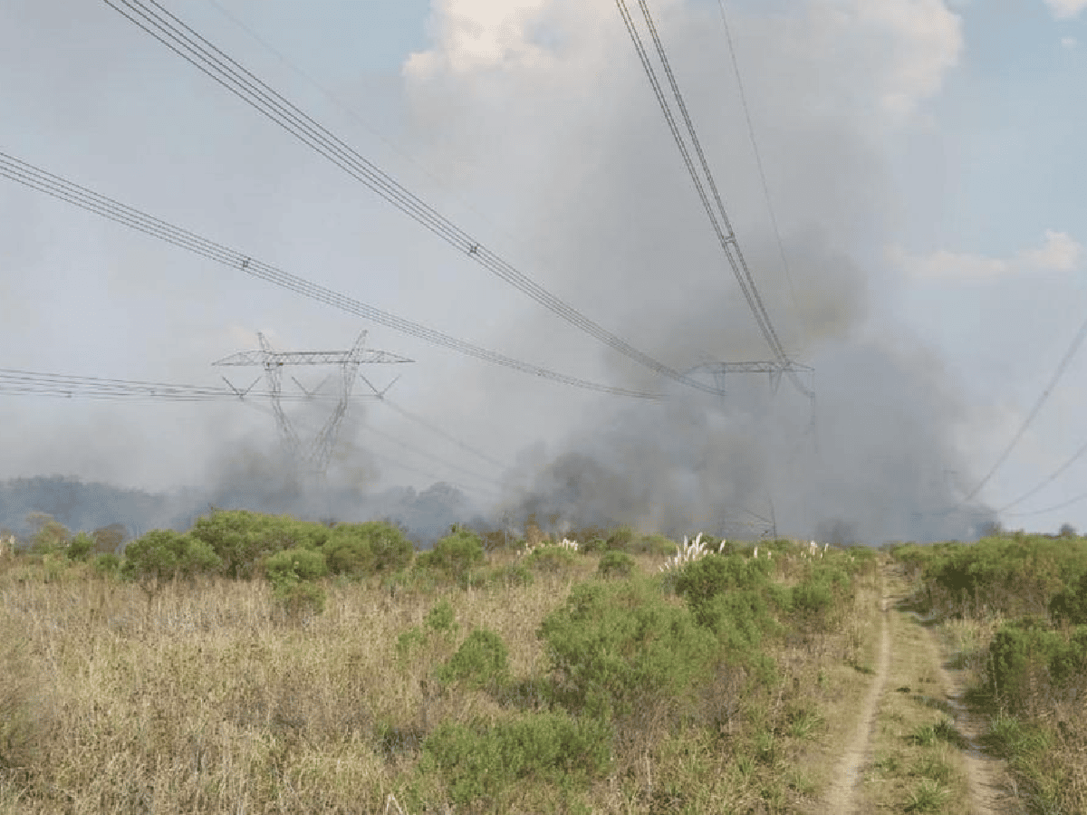 Un incendio de campos causó un corte masivo de energía en gran parte del país 