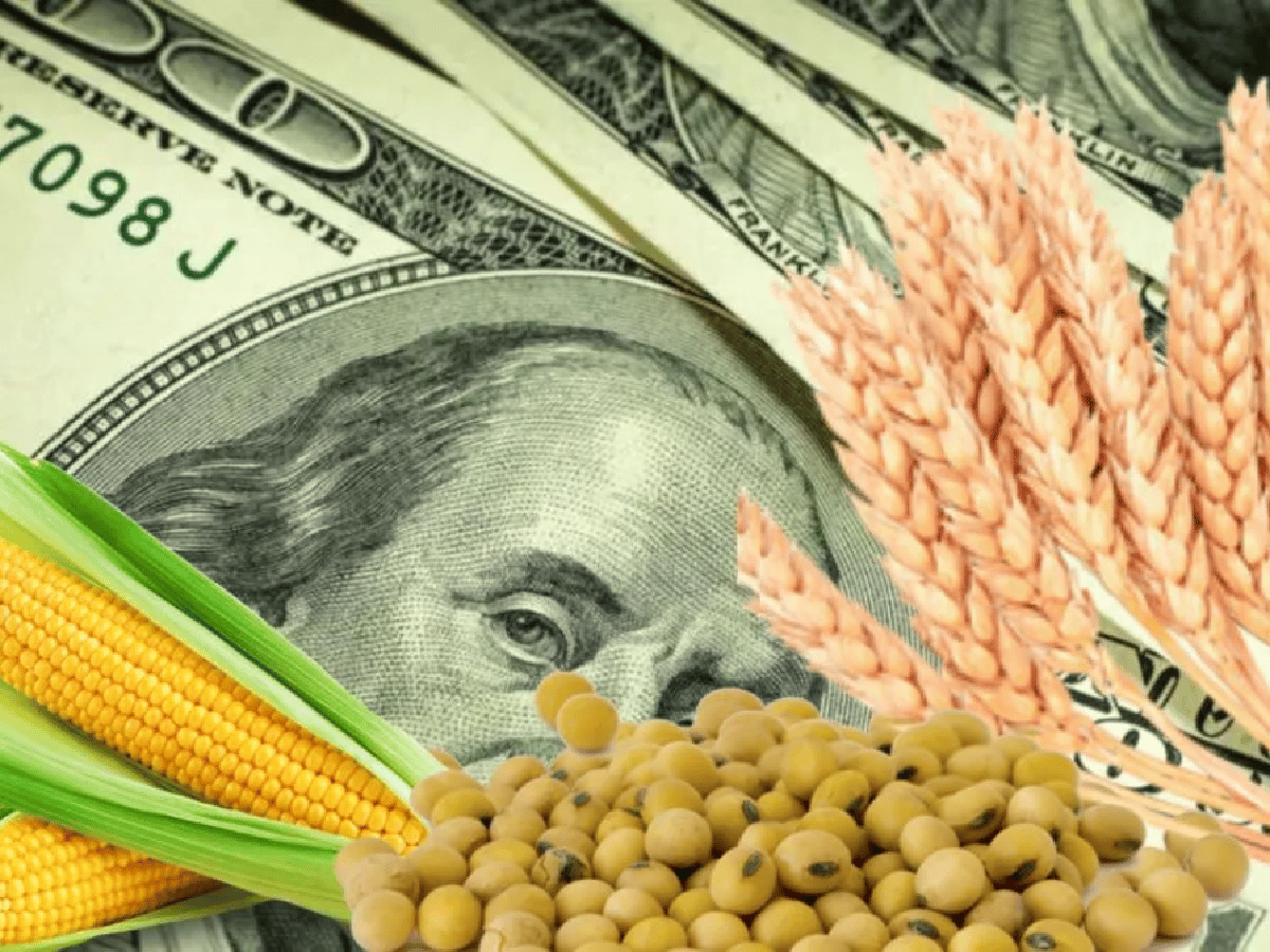 Empezó a regir el dólar agro: el Gobierno busca que ingresen u$s5.000 millones