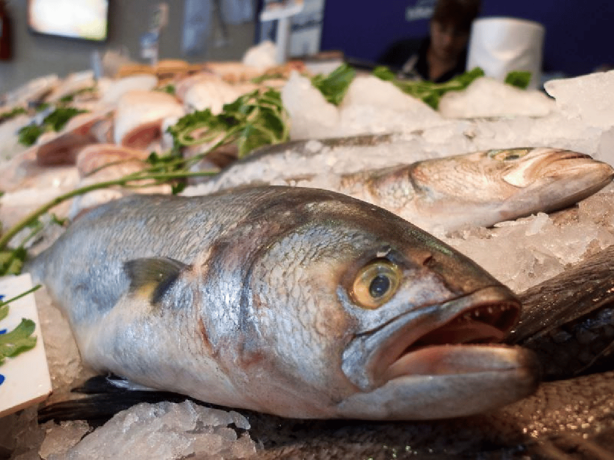 “La tradición está y no se puede cumplir”: las ventas en pescaderías cayeron en la ciudad