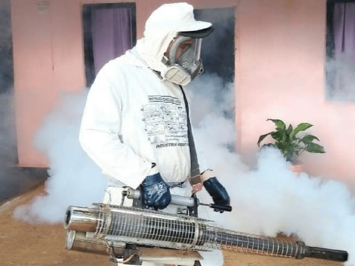 Alerta sanitario: Récord histórico de muertes por dengue en el país: ya son 32 en ocho provincias