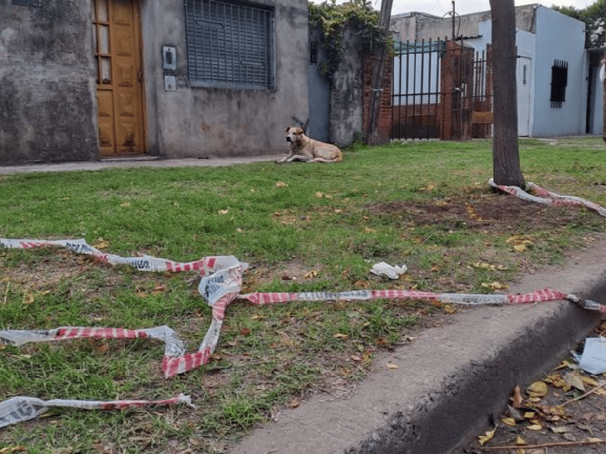 Violencia sin descanso en Rosario: asesinaron a tres personas en la madrugada