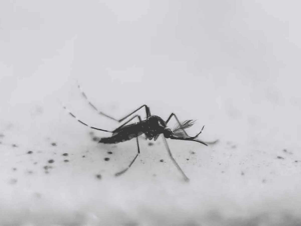Confirman la primera muerte por dengue en Córdoba durante 2023