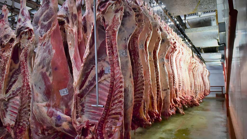 En los últimos 45 días el precio de la carne aumentó un 100%