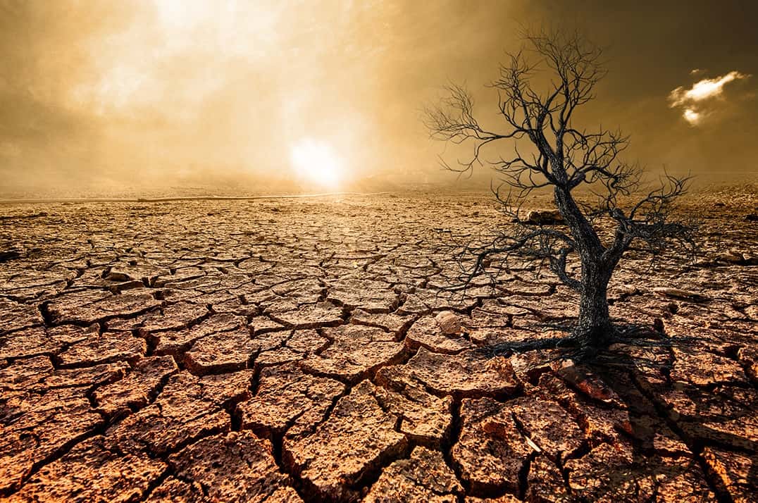 Sin retorno: datos alarmantes de sequía en América del Sur