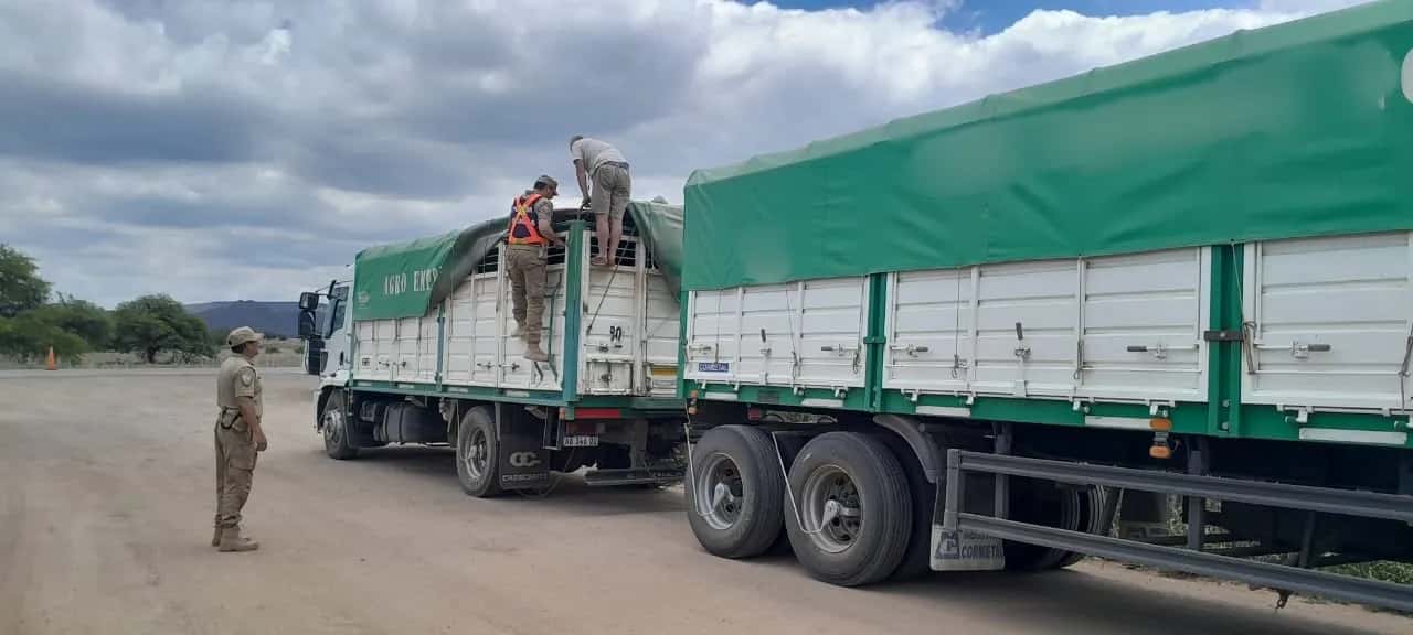 Detuvieron a dos camioneros, por transportar granos sin documentación