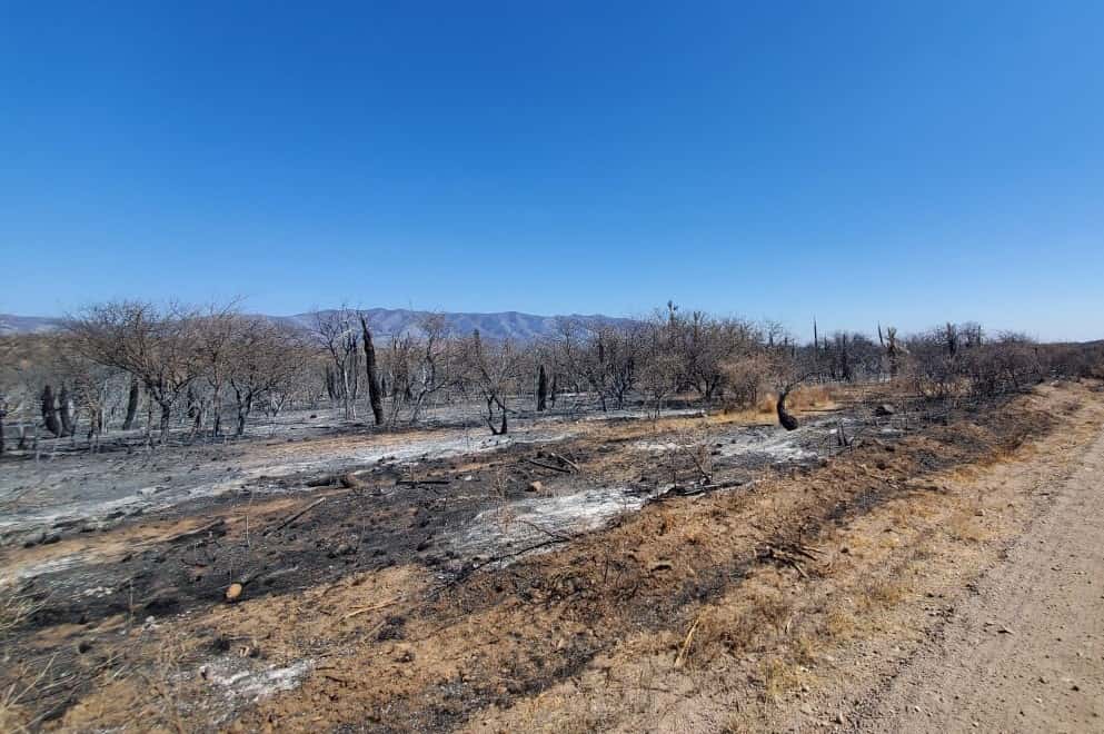 No quedan incendios activos en la provincia