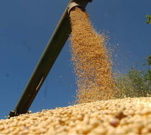 La molienda de soja durante septiembre se ubicó en torno a las 1,9 millones de toneladas
