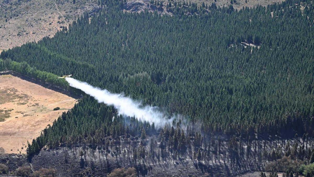 Brigadistas combaten el incendio en el Parque Nacional Los Alerces
