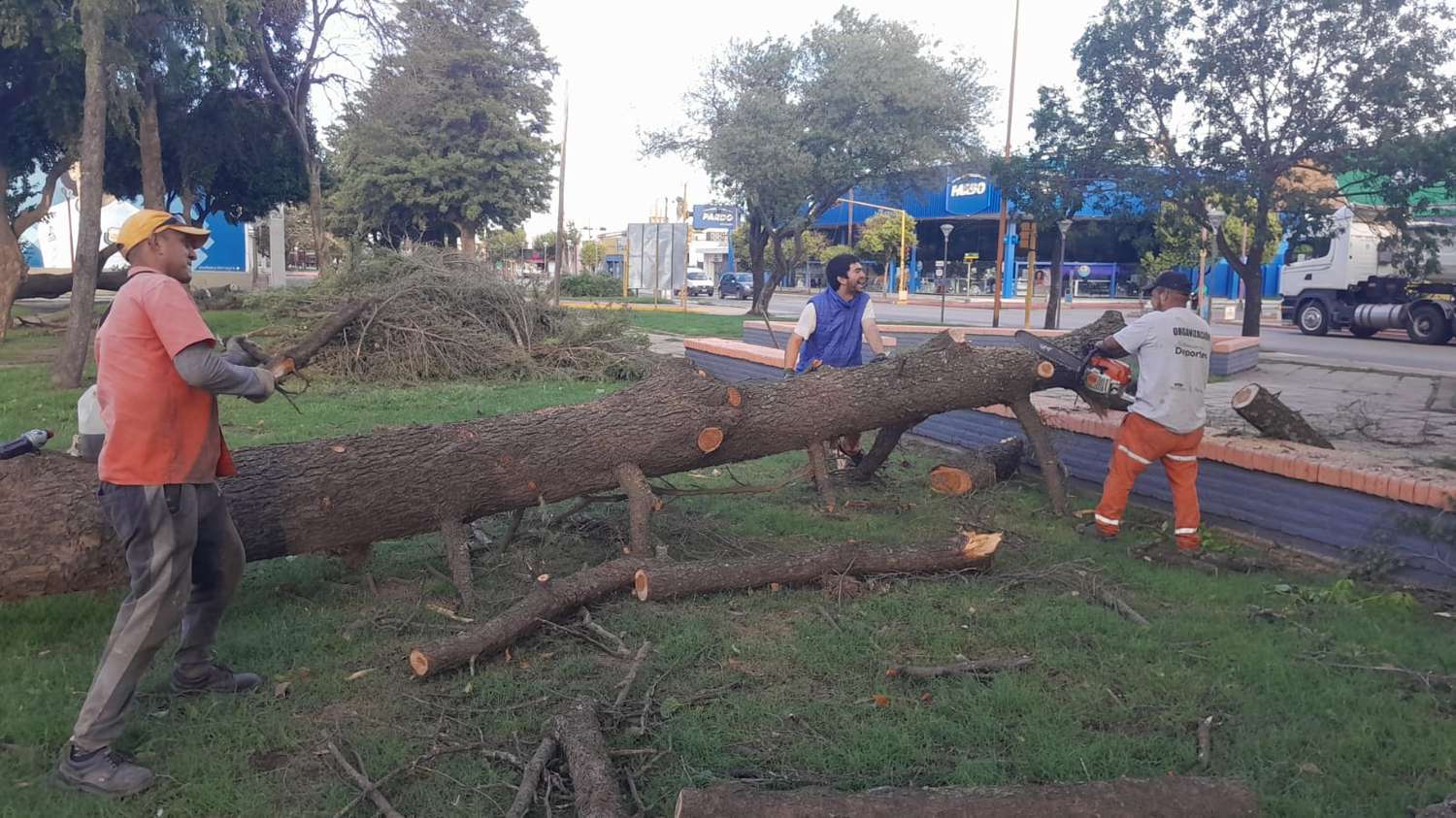 Personal municipal trabaja para remover los árboles caídos