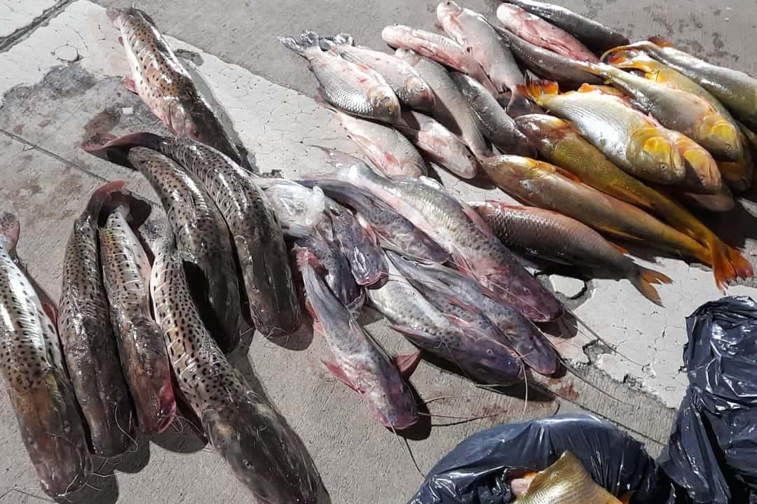 Se intensificaron las tareas de prevención y control en distintos puntos estratégicos de Córdoba para evitar pesca furtiva.