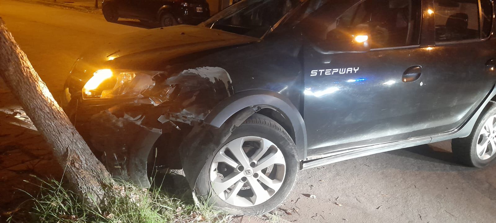 Auto impacto contra un árbol en barrio Roca: solo se registraron daños ...